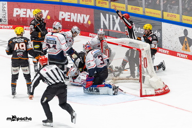 Löwen Frankfurt - Nürnberg Ice Tigers - 26.9.25 - 079