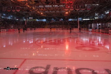Löwen Frankfurt - Kölner Haie- 4.10.25 - 009