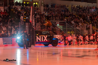 Löwen Frankfurt - Kölner Haie- 4.10.25 - 011