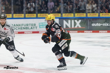 Löwen Frankfurt - Kölner Haie- 4.10.25 - 024