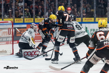 Löwen Frankfurt - Kölner Haie- 4.10.25 - 025