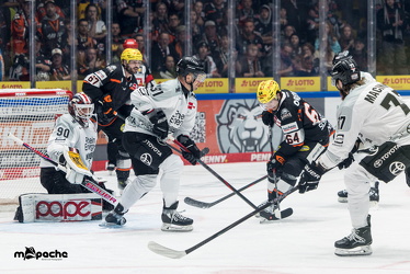 Löwen Frankfurt - Kölner Haie- 4.10.25 - 026