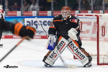 Löwen Frankfurt - Kölner Haie- 4.10.25 - 028