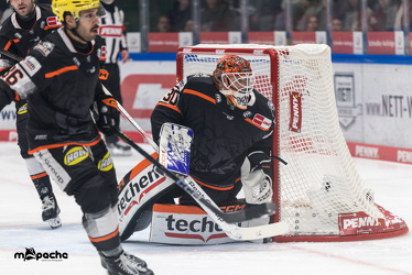 Löwen Frankfurt - Kölner Haie- 4.10.25 - 029