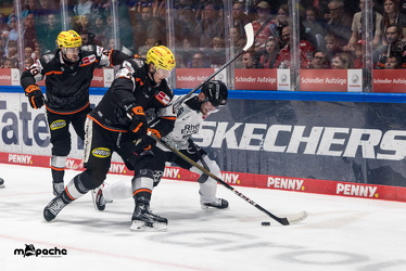 Löwen Frankfurt - Kölner Haie- 4.10.25 - 031