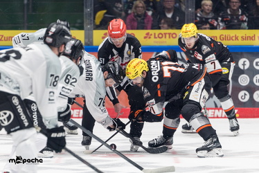 Löwen Frankfurt - Kölner Haie- 4.10.25 - 033