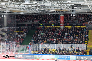 Löwen Frankfurt - Kölner Haie- 4.10.25 - 037