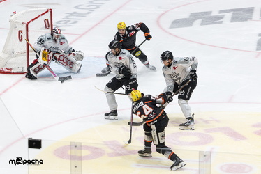 Löwen Frankfurt - Kölner Haie- 4.10.25 - 038