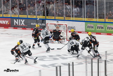 Löwen Frankfurt - Kölner Haie- 4.10.25 - 039