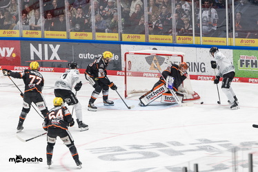 Löwen Frankfurt - Kölner Haie- 4.10.25 - 040