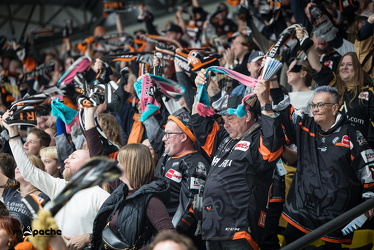 Löwen Frankfurt - Kölner Haie- 4.10.25 - 049