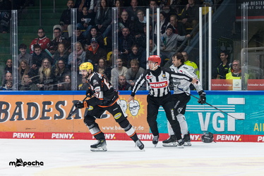 Löwen Frankfurt - Kölner Haie- 4.10.25 - 053