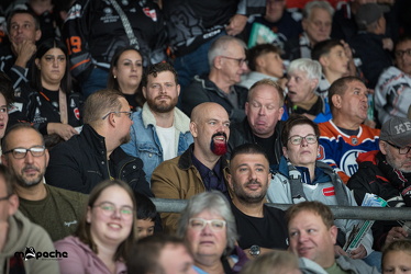 Löwen Frankfurt - Kölner Haie- 4.10.25 - 054