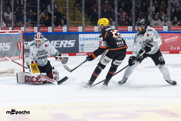 Löwen Frankfurt - Kölner Haie- 4.10.25 - 057