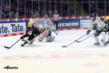 Löwen Frankfurt - Kölner Haie- 4.10.25 - 058
