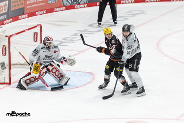 Löwen Frankfurt - Kölner Haie- 4.10.25 - 066