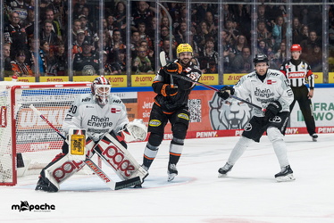 Löwen Frankfurt - Kölner Haie- 4.10.25 - 075