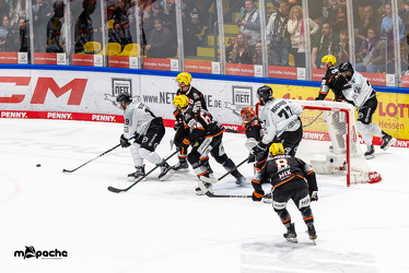 Löwen Frankfurt - Kölner Haie- 4.10.25 - 077