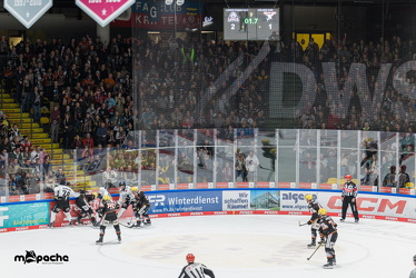 Löwen Frankfurt - Kölner Haie- 4.10.25 - 080