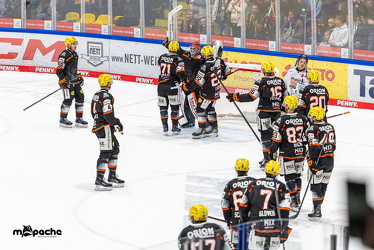 Löwen Frankfurt - Kölner Haie- 4.10.25 - 082