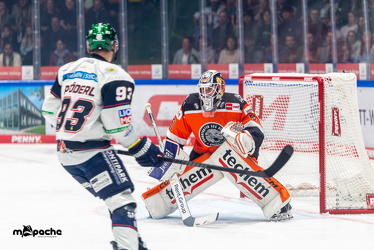 Löwen Frankfurt - Eisbären Berlin- 10.10.25 - 030