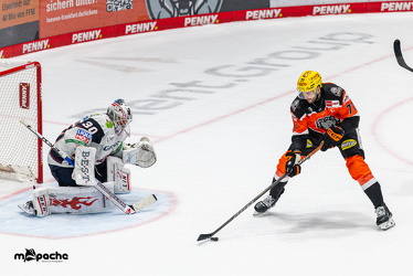 Löwen Frankfurt - Eisbären Berlin- 10.10.25 - 104