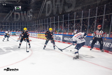 Löwen Frankfurt - Red Bull München- 17.10.25 - 029
