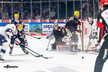 Löwen Frankfurt - Red Bull München- 17.10.25 - 032