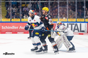 Löwen Frankfurt - Red Bull München- 17.10.25 - 042
