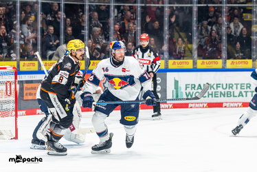 Löwen Frankfurt - Red Bull München- 17.10.25 - 094