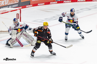 Löwen Frankfurt - Red Bull München- 17.10.25 - 099