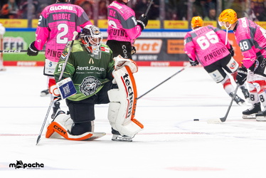 Löwen Frankfurt - Fischtown Pinguins- 24.10.25 - 008