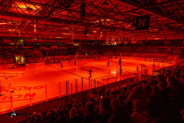 Löwen Frankfurt - Fischtown Pinguins- 24.10.25 - 011