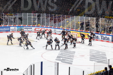 Löwen Frankfurt - Fischtown Pinguins- 24.10.25 - 021