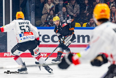 Löwen Frankfurt - Fischtown Pinguins- 24.10.25 - 023