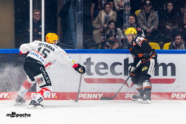 Löwen Frankfurt - Fischtown Pinguins- 24.10.25 - 025