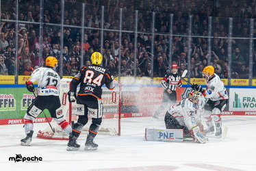 Löwen Frankfurt - Fischtown Pinguins- 24.10.25 - 028