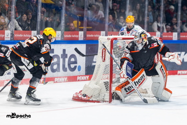 Löwen Frankfurt - Fischtown Pinguins- 24.10.25 - 045