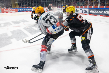 Löwen Frankfurt - Fischtown Pinguins- 24.10.25 - 049