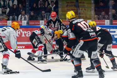 Löwen Frankfurt - Fischtown Pinguins- 24.10.25 - 051