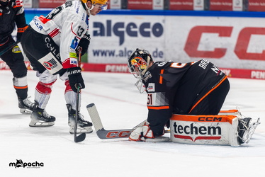 Löwen Frankfurt - Fischtown Pinguins- 24.10.25 - 052