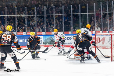 Löwen Frankfurt - Fischtown Pinguins- 24.10.25 - 053