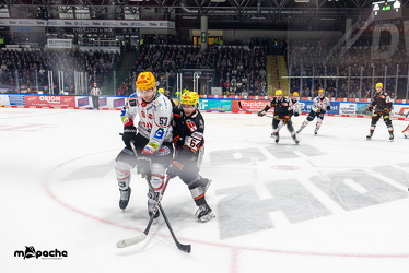 Löwen Frankfurt - Fischtown Pinguins- 24.10.25 - 054