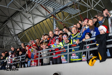 Löwen Frankfurt - Fischtown Pinguins- 24.10.25 - 055