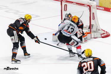 Löwen Frankfurt - Fischtown Pinguins- 24.10.25 - 058