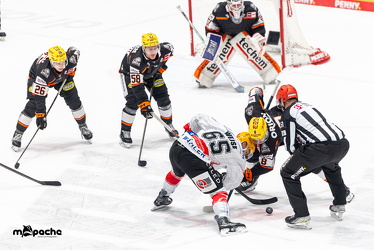 Löwen Frankfurt - Fischtown Pinguins- 24.10.25 - 062