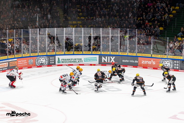 Löwen Frankfurt - Fischtown Pinguins- 24.10.25 - 064