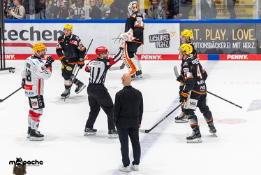 Löwen Frankfurt - Fischtown Pinguins- 24.10.25 - 068