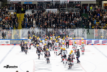 Löwen Frankfurt - Fischtown Pinguins- 24.10.25 - 071