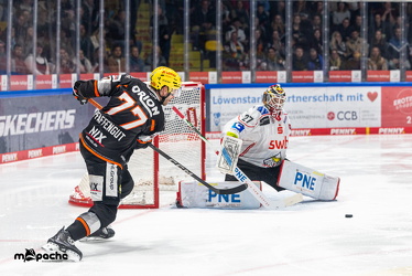 Löwen Frankfurt - Fischtown Pinguins- 24.10.25 - 072